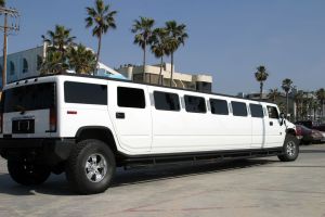 Limousine Insurance in Wallace ID